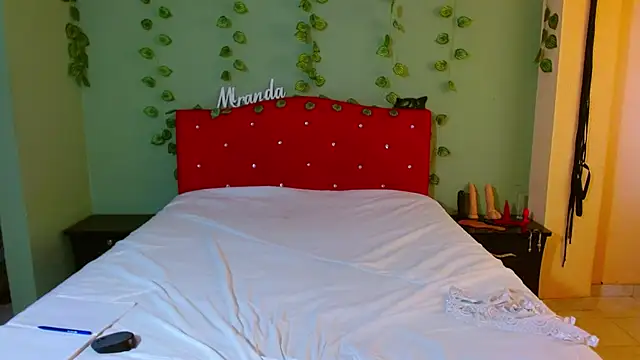 Snapshot of MirandaDream2 chatting on 12-01-25, 02:33 MirandaDream2 online show from 12-01-25, 02:33