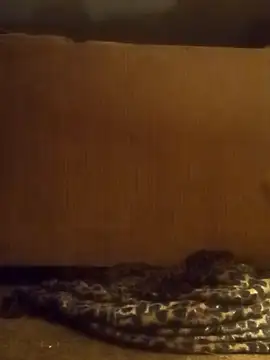 luke thighwalker2469 online show from 02-08-25, 01:11