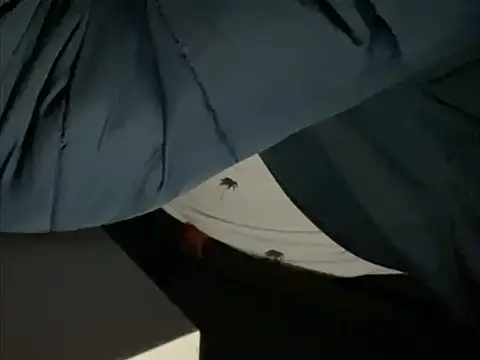 tomazu11 online show from 10-26-25, 06:30