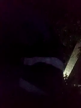 Snapshot of mis312 chatting on 11-18-25, 06:40 mis312 online show from 11-18-25, 06:40