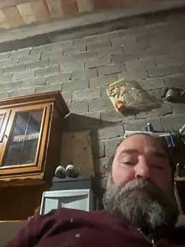 ros217 online show from 11-04-25, 04:28