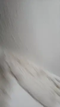 Siriss boyrag online show from 11-22-25, 08:52