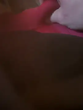 Fjome online show from 11-15-25, 08:00