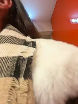 beautydiamond online show from 01-20-25, 10:51