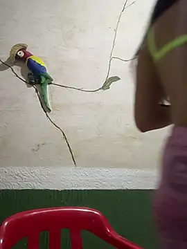 Karla-sexy01 online show from 01-04-25, 03:07