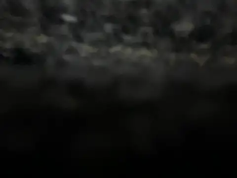  my ass  online show from 02-09-25, 10:00