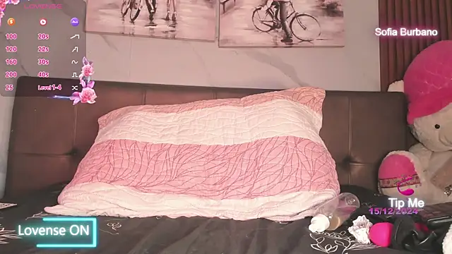 Sofia Burbano online show from 12-15-24, 02:05