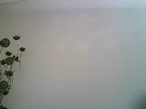 Snapshot of PocoLoco420 chatting on 09-23-25, 08:56 PocoLoco420 online show from 09-23-25, 08:56