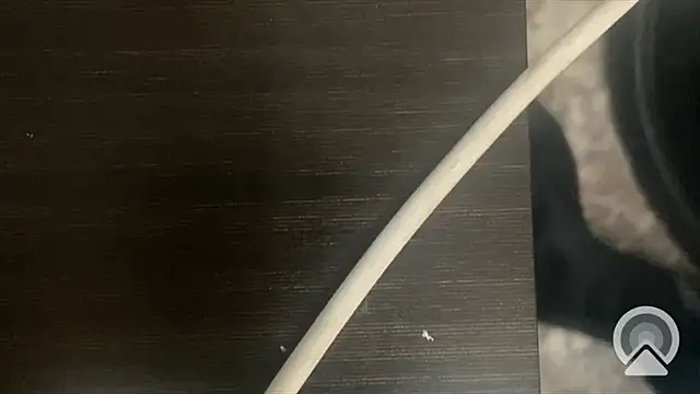 shuai321 online show from 02-13-25, 07:56