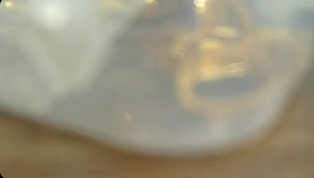 Rashisharma online show from 10-14-25, 12:06