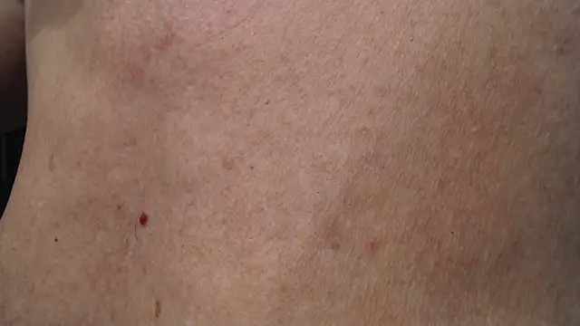 Toy-Daddy online show from 11-20-25, 12:33