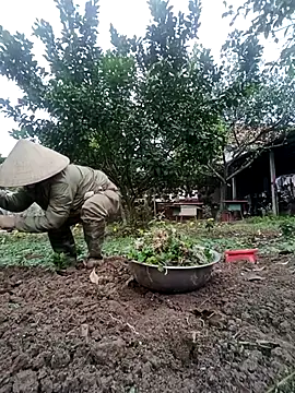 Fuckmehard2xx online show from 02-23-25, 02:51