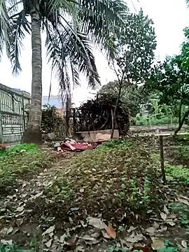 Fuckmehard2xx online show from 03-09-25, 09:24