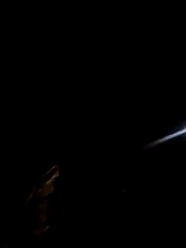 Snapshot of kindbut69 chatting on 11-02-25, 05:43 kindbut69 online show from 11-02-25, 05:43