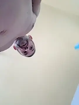 Snapshot of chris_sbh chatting on 02-01-25, 02:45 chris sbh online show from 02-01-25, 02:45