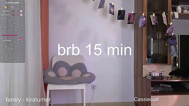 art phoenix online show from 02-23-25, 07:49