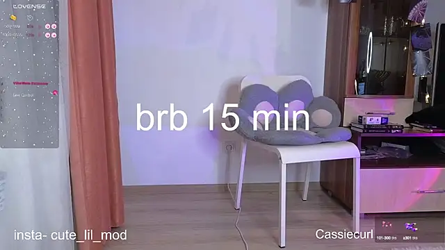 art phoenix online show from 02-28-25, 08:07