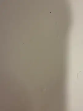 Serkan3356 online show from 02-09-26, 12:31