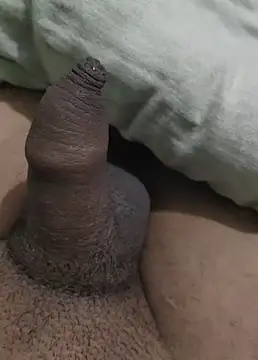 Snapshot of iaparna chatting on 12-29-24, 06:38 iaparna online show from 12-29-24, 06:38