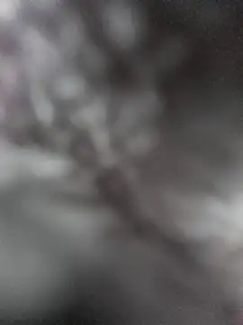 hungarian dick online show from 01-31-25, 09:37