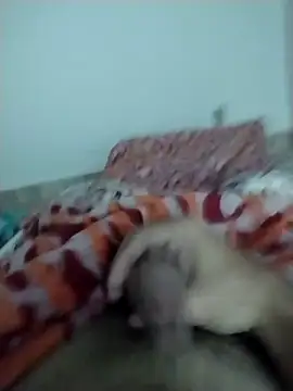 lm279 online show from 02-13-25, 05:33