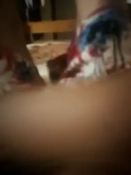 PussyMasterPhD1 online show from 11-11-25, 09:15