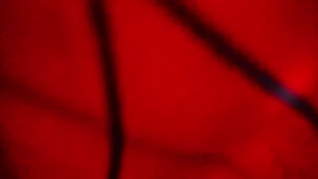 Snapshot of Nathaly_love96 chatting on 02-20-26, 07:47 Nathaly love96 online show from 02-20-26, 07:47