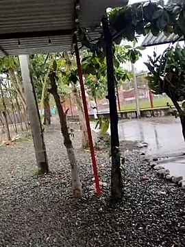 Snapshot of BeetledFlouter12 chatting on 09-26-25, 07:07 BeetledFlouter12 online show from 09-26-25, 07:07