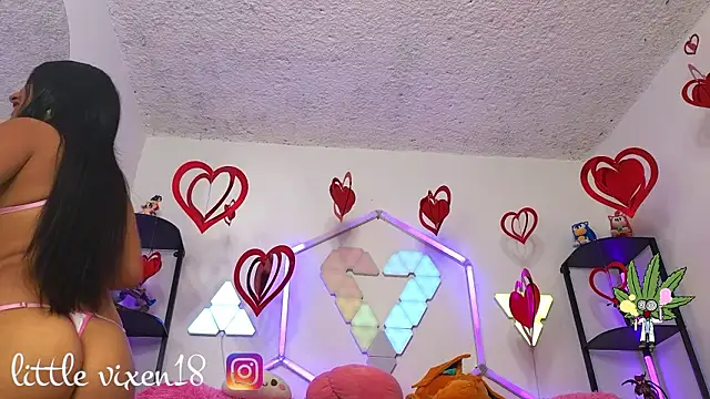 Snapshot of littlevixen18 chatting on 02-25-26, 02:05 littlevixen18 online show from 02-25-26, 02:05