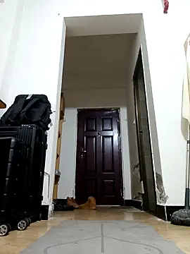 DDYY12341 online show from 11-18-25, 11:58