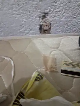 montevideoo online show from 10-06-25, 12:52