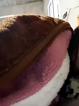 jijijoudia online show from 01-25-25, 12:37