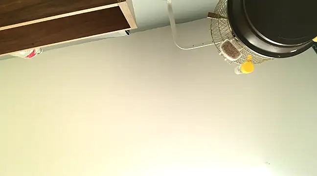 Snapshot of themany29 chatting on 01-27-25, 08:17 themany29 online show from 01-27-25, 08:17