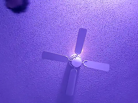 Snapshot of big8dall chatting on 09-24-25, 06:50 big8dall online show from 09-24-25, 06:50