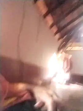 Snapshot of rajshank chatting on 12-29-24, 10:01 rajshank online show from 12-29-24, 10:01