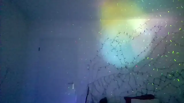 brunoguunot online show from 12-21-24, 04:41