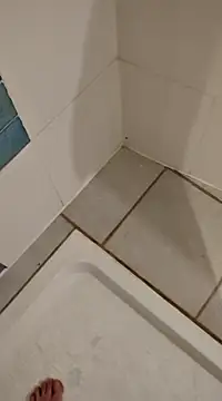 Ariete80s online show from 02-21-25, 03:32