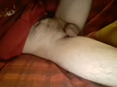 Ariete80s online show from 03-10-25, 06:16