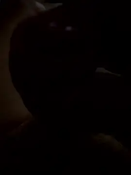 rusken123 online show from 01-15-26, 05:49