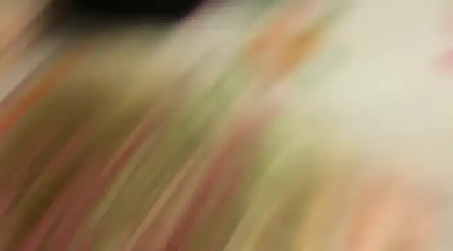 wild x predator online show from 01-10-25, 04:09