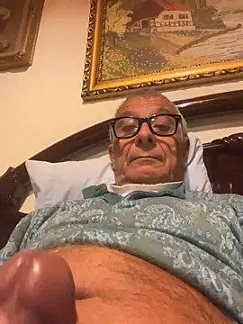 4n4l1zz4m1 online show from 11-01-25, 04:47