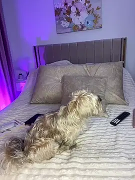 GraceCarther online show from 04-08-26, 08:53