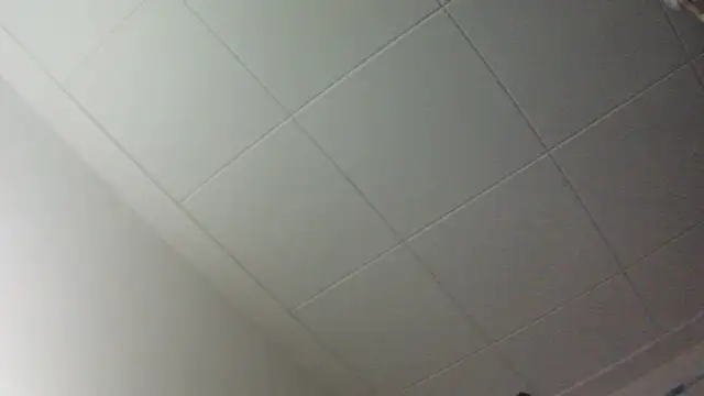 Snapshot of gorkamacbew chatting on 09-09-25, 02:00 gorkamacbew online show from 09-09-25, 02:00