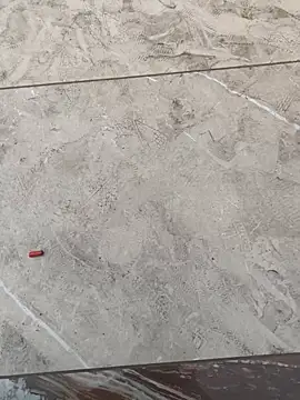 Snapshot of Gururonny07 chatting on 02-16-25, 11:49 Gururonny07 online show from 02-16-25, 11:49