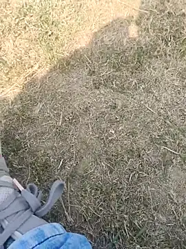 Snapshot of Gururonny07 chatting on 02-19-25, 07:28 Gururonny07 online show from 02-19-25, 07:28