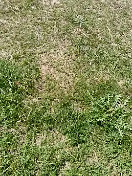 Snapshot of Gururonny07 chatting on 03-06-25, 07:57 Gururonny07 online show from 03-06-25, 07:57