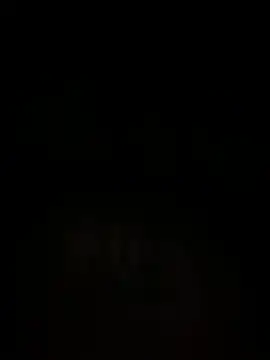 islandvybee55 online show from 12-15-24, 07:02