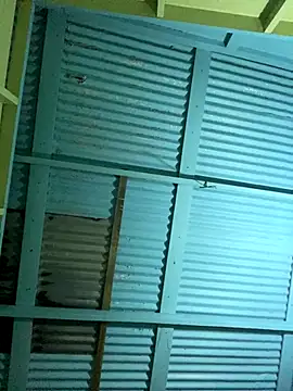 islandvybee55 online show from 12-16-25, 05:01