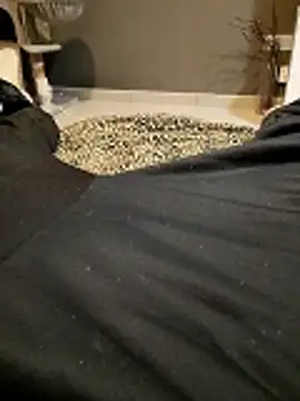 Snapshot of HotBoy6699 chatting on 02-11-26, 02:16 HotBoy6699 online show from 02-11-26, 02:16