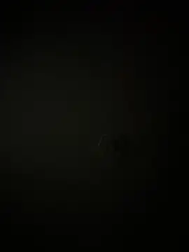 MollySanders    online show from 01-11-25, 11:46